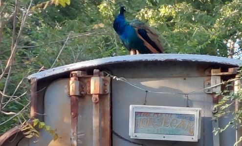 The Lessman Farm & Truckhenge