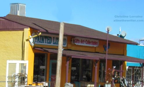 Painted Lizard Yarnell