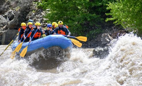 Flying Pig Adventures Yellowstone Whitewater Rafting Gardiner