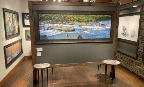 Tony Newlin Gallery at Telluride