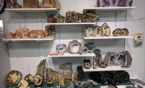 The Bug House rock shop