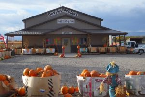 De Vries Fruit & Vegetable Market