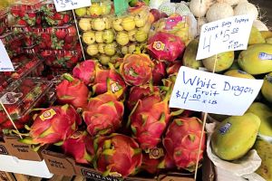 Maria Corona Produce