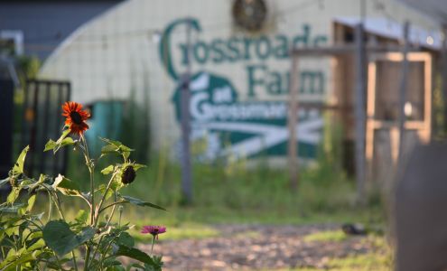 Crossroads Farm at Grossmann's Malverne