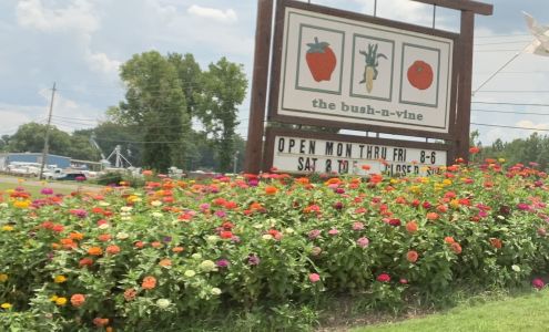 Bush-N-Vine Farm
