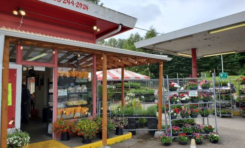 Duane's Garden Patch