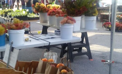 Aptos Farmers Market at Cabrillo College