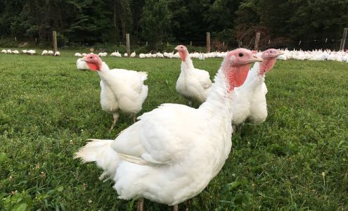 Diemand Farm Millers Falls