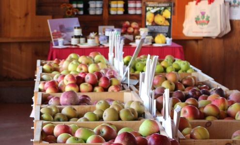 Scott Farm Orchard Dummerston
