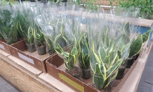 46 Brothers Fish & Meat Market