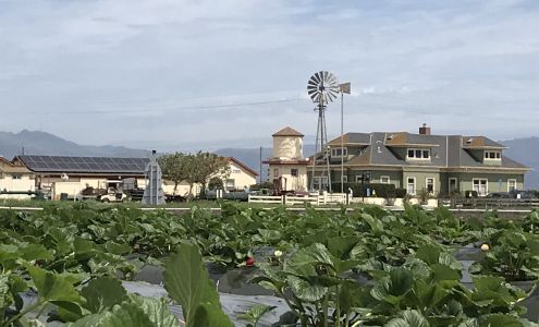 The Farm in Salinas