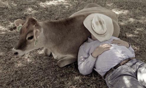 Claravale Farm Paicines