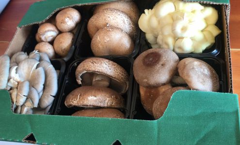 Sher-Rockee Mushroom Farms Lincoln University