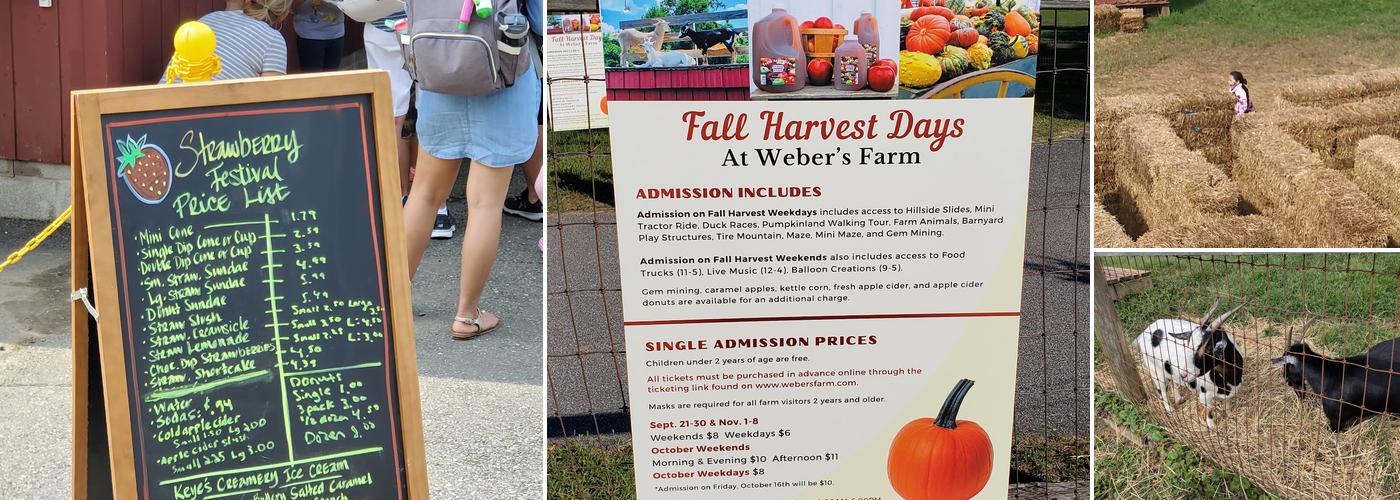 Weber's Cider Mill Farm Inc Menu