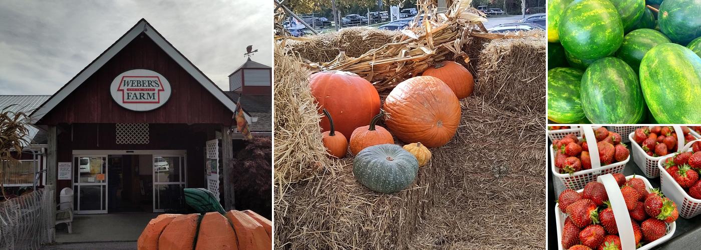 Weber's Cider Mill Farm Inc