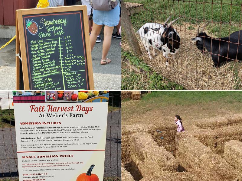 Weber's Cider Mill Farm Inc Menu