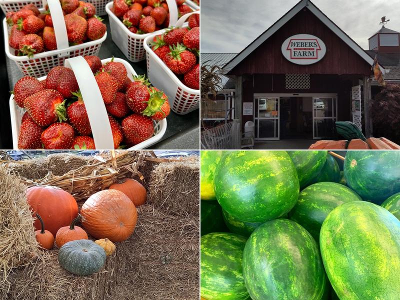 Weber's Cider Mill Farm Inc