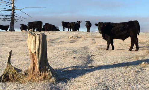 Farm To Market Pork & Beef