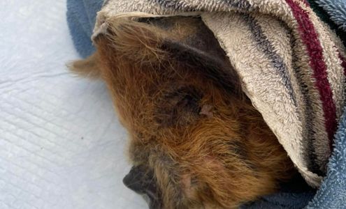 Heartquist Hollow Farm Winkelman