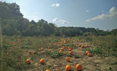 A & M Farm Orchard Midland
