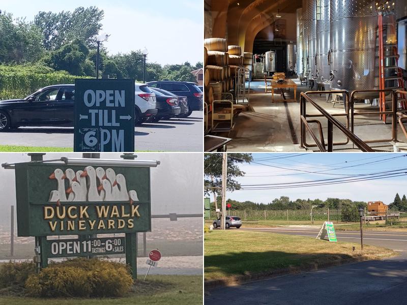 Duck Walk Vineyard 231 Montauk Hwy, Water Mill