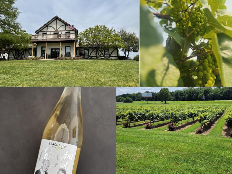 Beachaven Vineyards & Winery