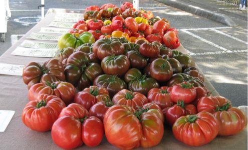 Kittitas Valley Greenhouse