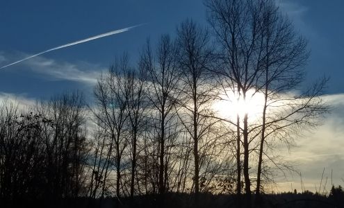 The Root Connection Farm