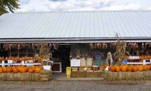 Witte's Vegetable Farm LLC