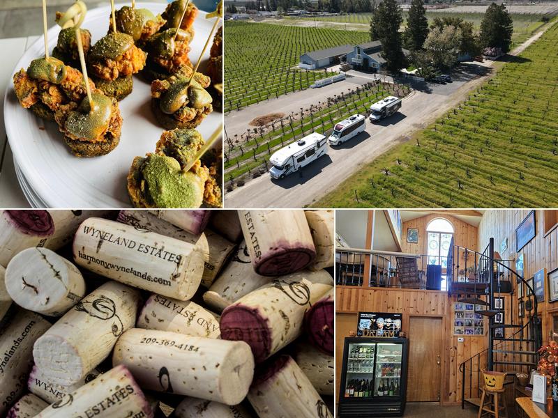 Harmony Wynelands Winery 9291 E Harney Ln, Lodi