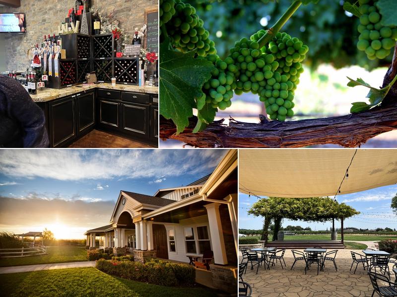 Hannah Nicole Vineyards