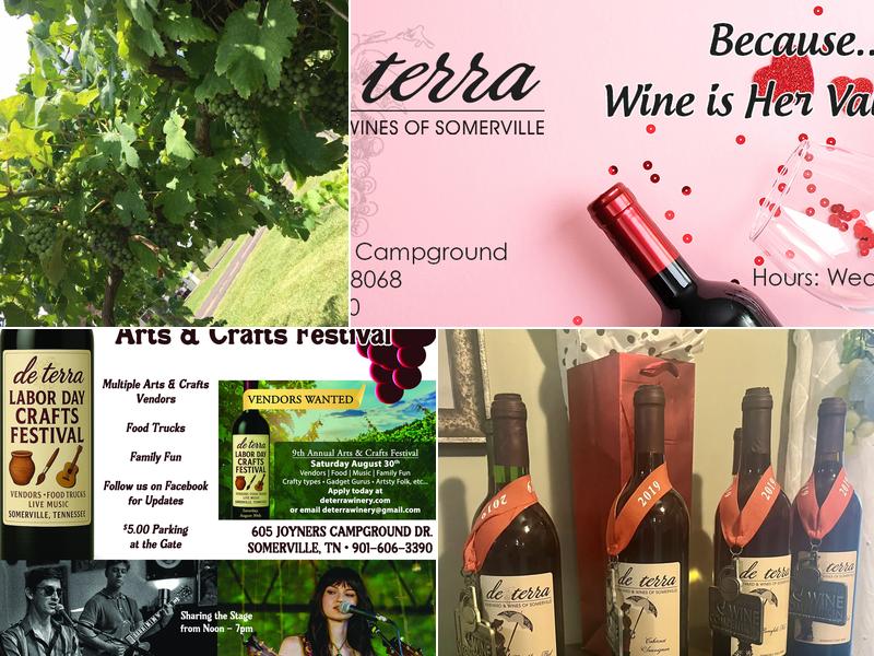 de terra Vineyard & Wines of Somerville