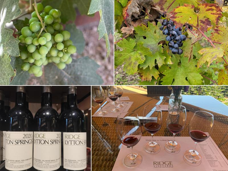 Ridge Vineyards - Lytton Springs