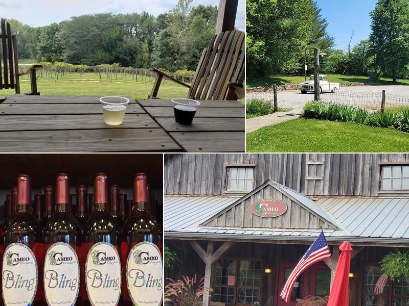 Cameo Vineyards 400 Mill Rd, Greenup