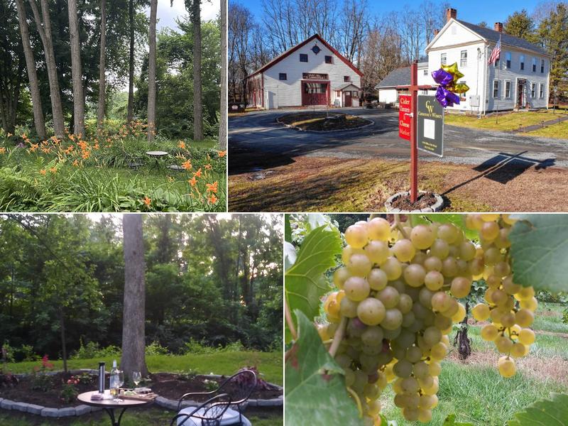 Cameron's Winery 1046 Millers Falls Rd, Northfield