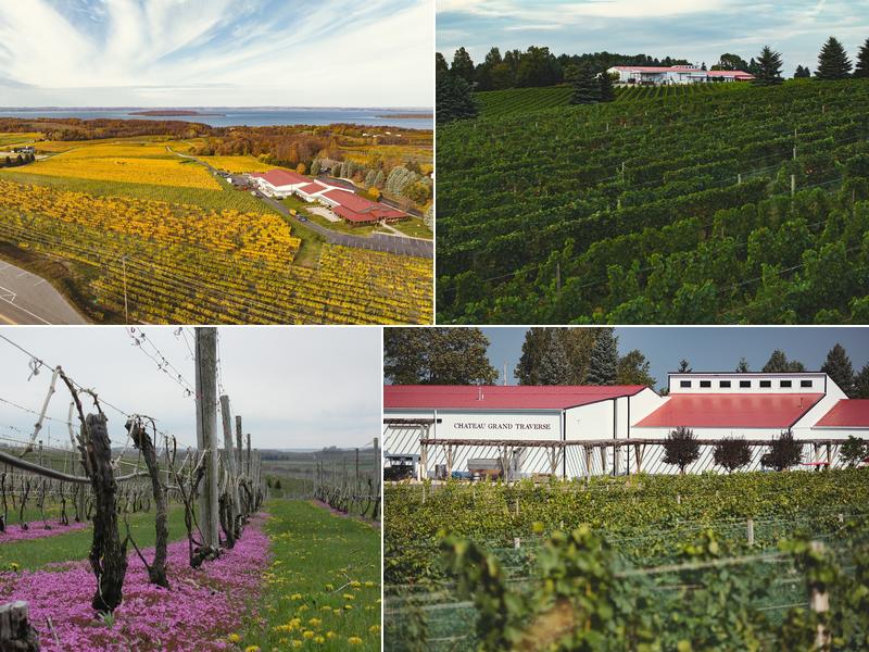 Chateau Grand Traverse 12239 Center Rd, Traverse City