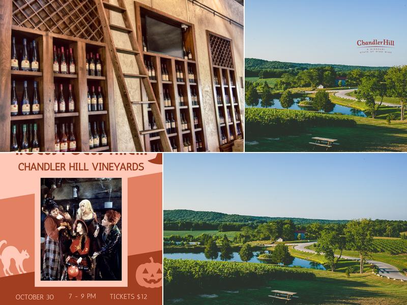 Chandler Hill Vineyards