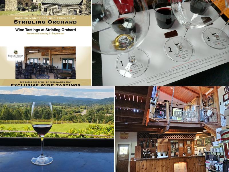 Chateau O'Brien At North Point