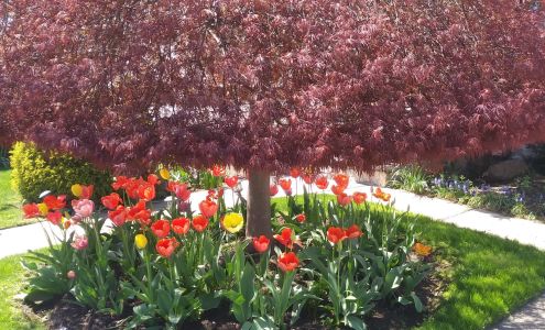 Hy-Joe Tobacco & Grocery Co