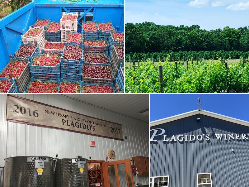 Plagido's Winery 570 N 1st Rd, Hammonton