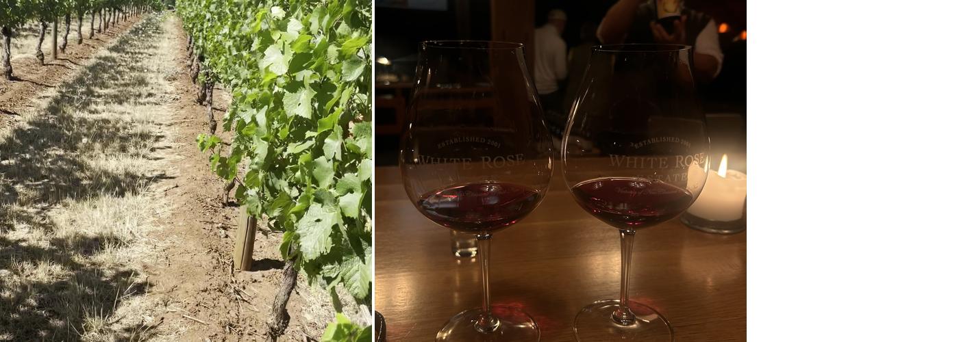 White Rose Estate Winery Menu