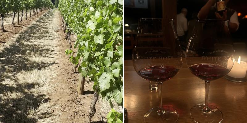 White Rose Estate Winery Menu