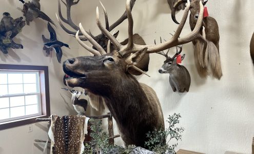 Wild West Taxidermy Studio Panhandle