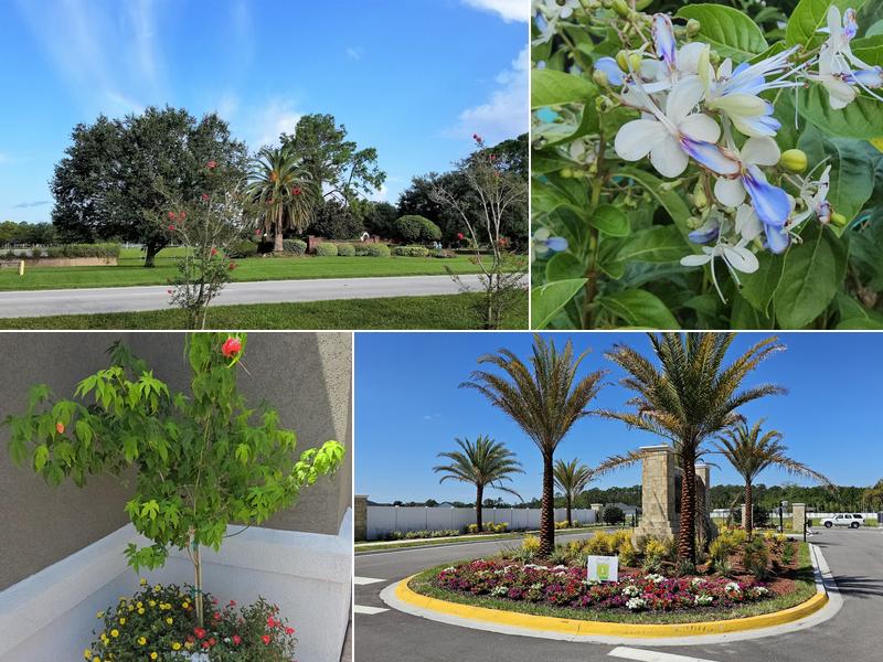 Serenity's Home & Garden