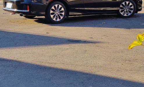 Vintage Green Professional Auto Detailing