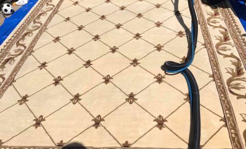 GiGi Carpet Cleaning Service Inc.