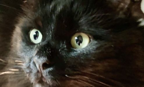 Accellence Home Medical