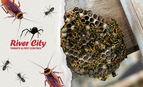 River City Termite & Pest Control, Inc. Holden