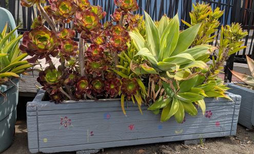 Samaritan House Worker Resource Center