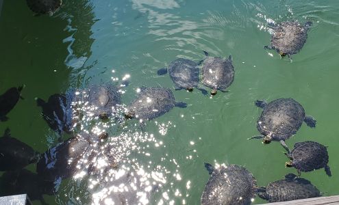 Anchor Bay Marina Eclectic